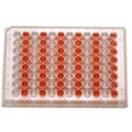 Biologix Usa Cell Culture Plates, 96 Well, 50PK 141376